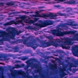 Meet your Posher, Malena